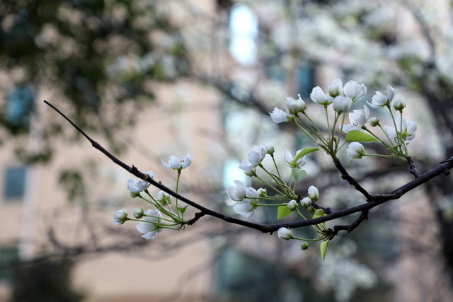 云丝和海带怎么凉拌好吃