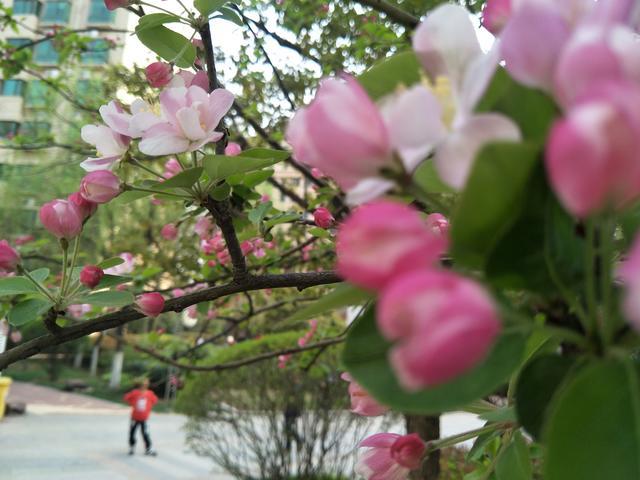 ��ʲô������ͻ�