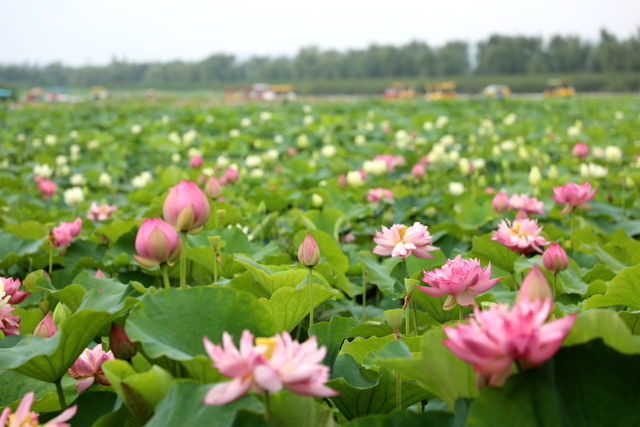 ��ô��������ô��