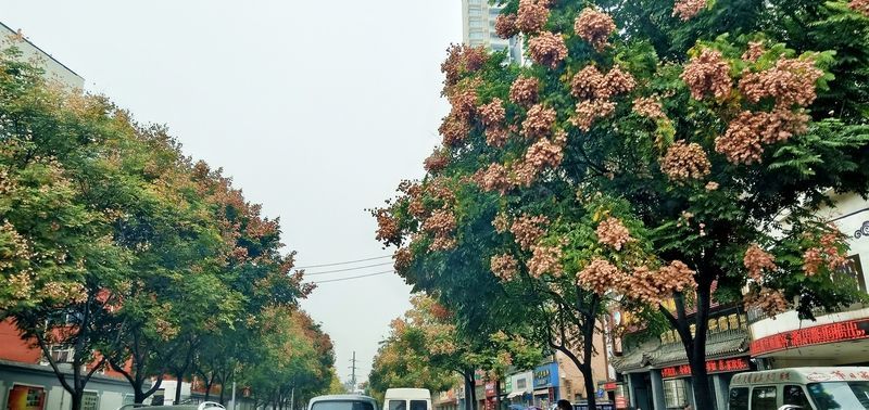 �ܲ���ľ����һ������