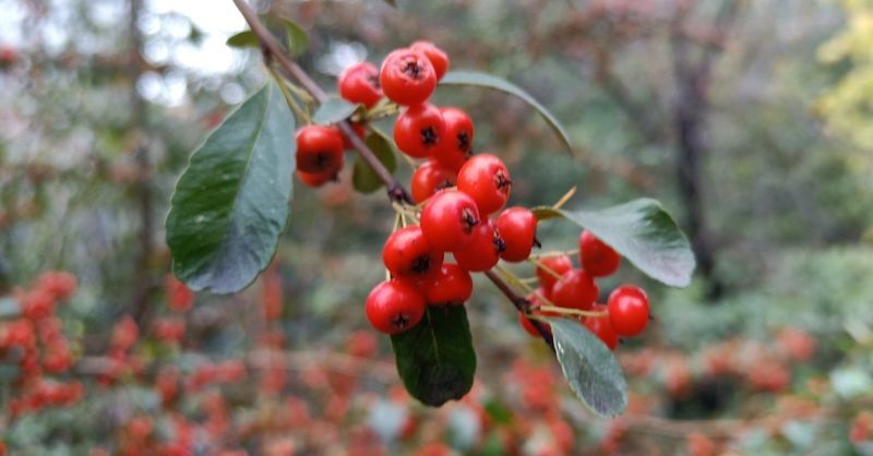 ��ΧϺ��ô�պó���Ӫ��