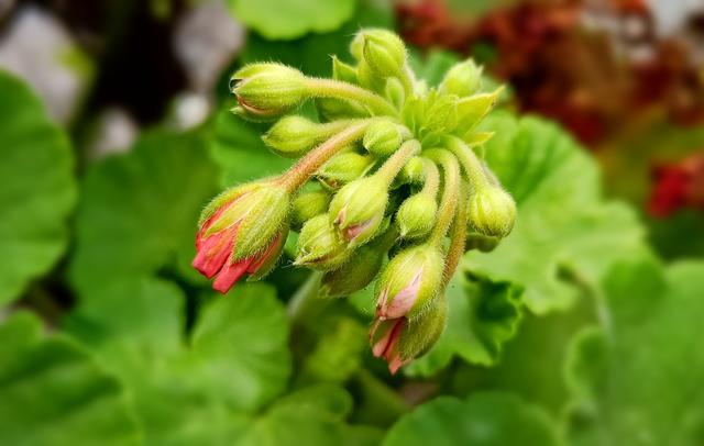 ���~��ô�O�ó骄