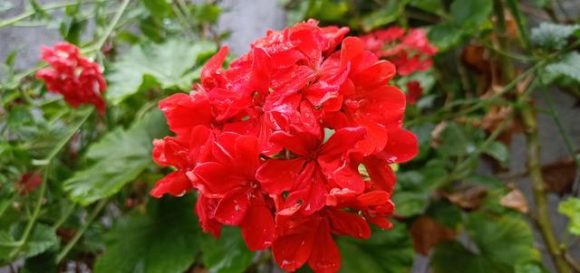 ���׳�ʲô������