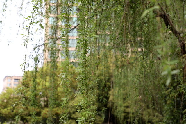 �����ӷ���ô���ó�