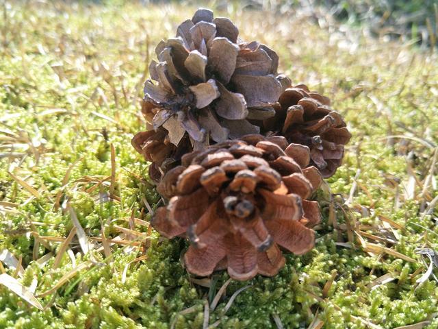 ������ô���źó�