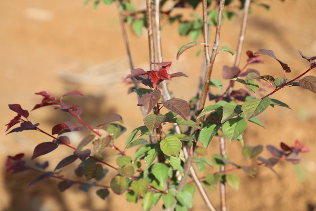 ���ͽ�����