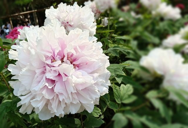 <a href=https://www.shuisutang.com.cn/ target=_blank class=infotextkey>ˮ����</a>