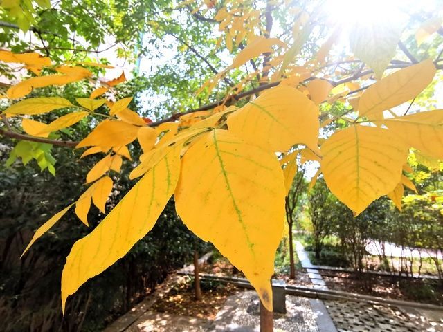 <a href=https://www.shuisutang.com.cn/ target=_blank class=infotextkey>ˮ����</a>