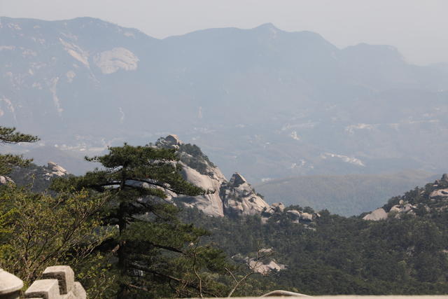 洋蔥和什么菜搭配好吃又好看