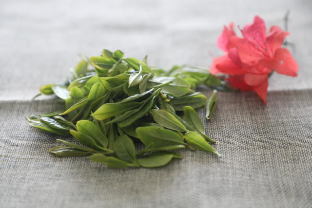 Ƣθ�������Գ���ƻ���ͻ�ɽ