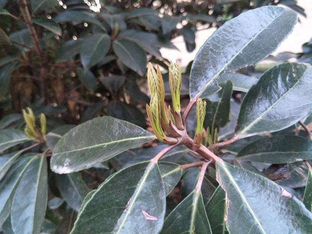 �c����Ĭ���~