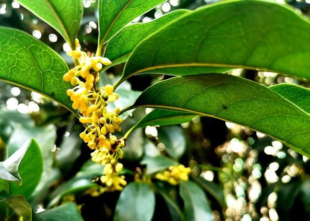 <a href=https://www.shuisutang.com.cn/ target=_blank class=infotextkey>ˮ����</a>