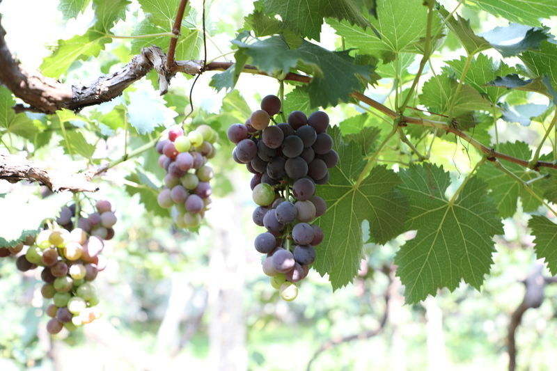 �������������ſ�ƨ