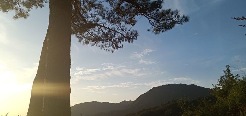 Ϊʲô��θһֱ���䶯