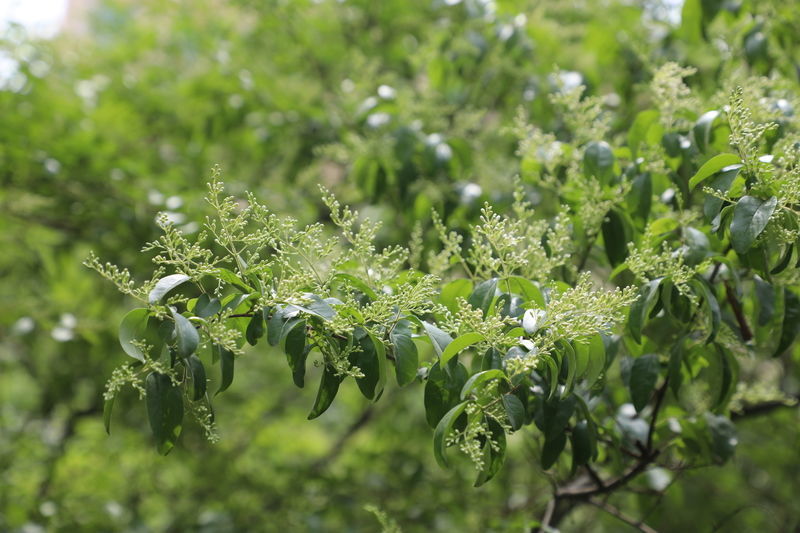 ˮ����