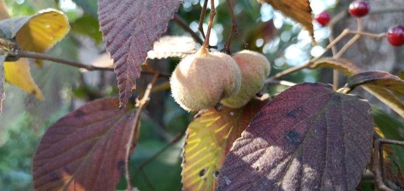 ʣ�µĴ�����ô��