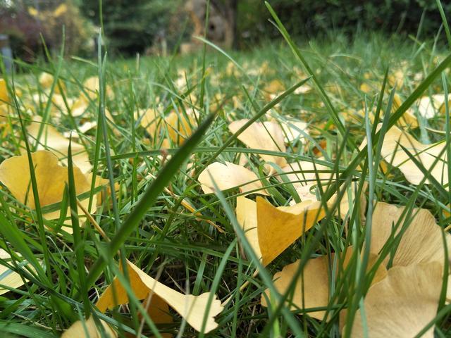 胃肠道功能紊乱多久可以恢复