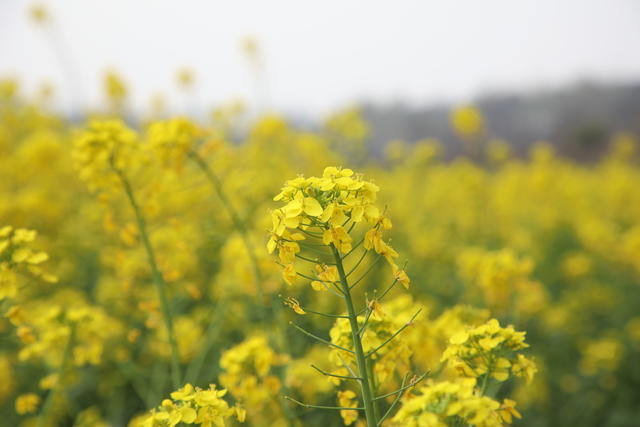 Ƣθ������θ���첻���