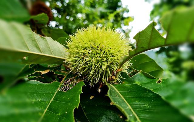 һ�Ծ��������ʲôԭ��