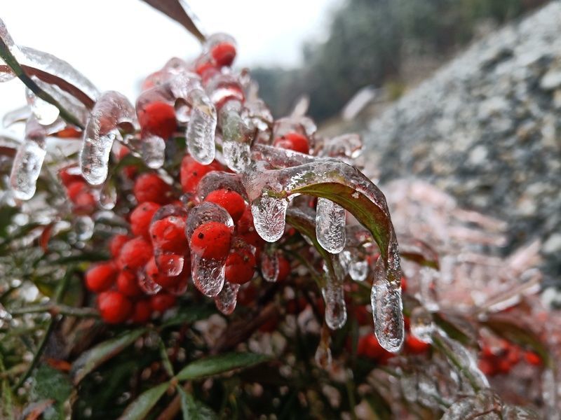 ��������ʧ����ô����