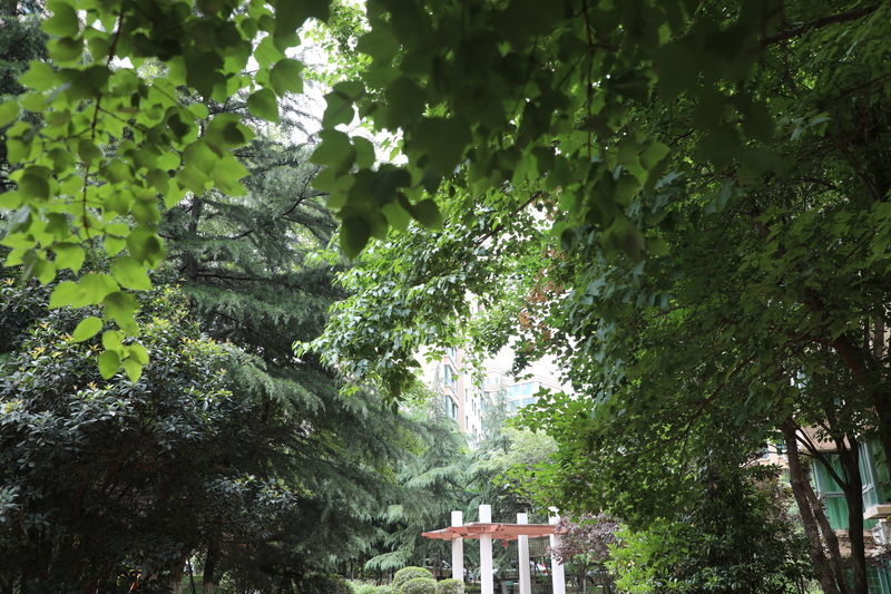 ˮ��ɢ������ô��