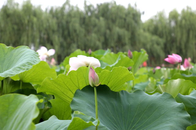 <a href=https://www.shuisutang.com.cn/ target=_blank class=infotextkey>ˮ����</a>