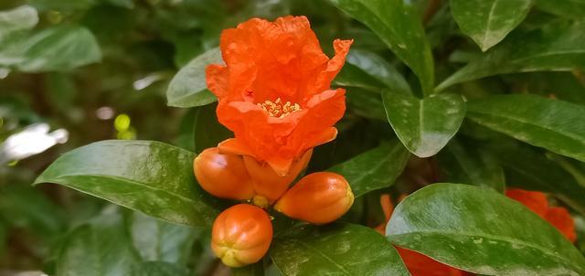 �������๾������ʲôԭ��