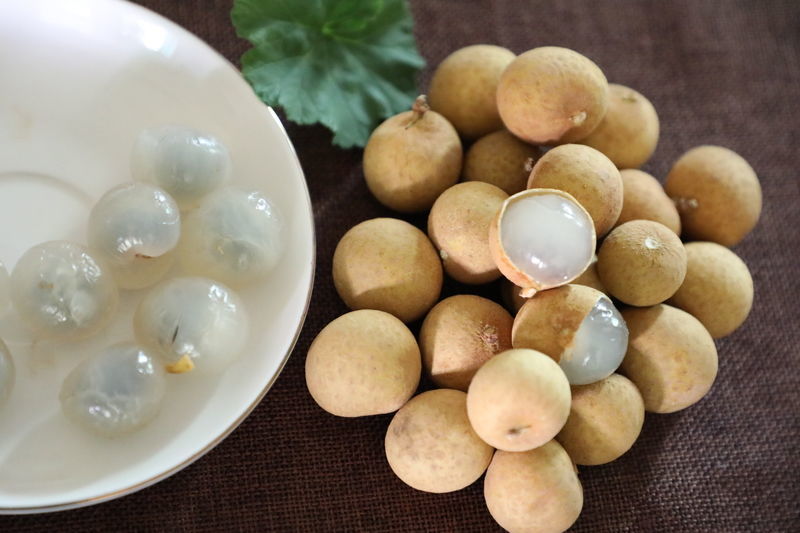 ������ô���ɻ�����