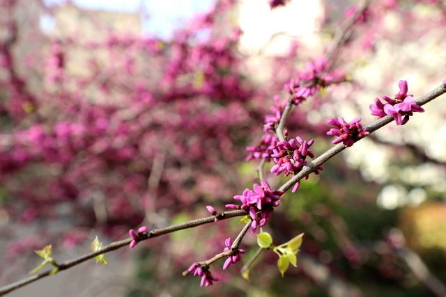 ʲô�|������ϴ�cθ