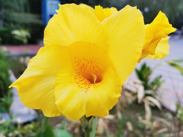 θ���Ա���Ʒ������