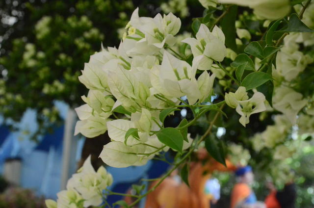 ��ʳ����������Ҫ�೤ʱ��