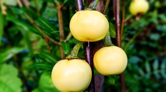 �����θÛ��ô�k