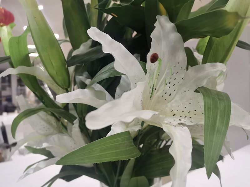 �������޸�