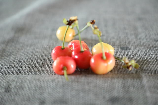 ʲô���Ĵ��