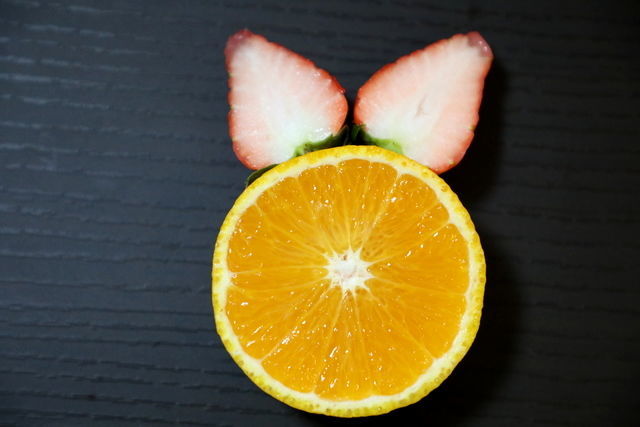 �uţ����ô���Ʋ���