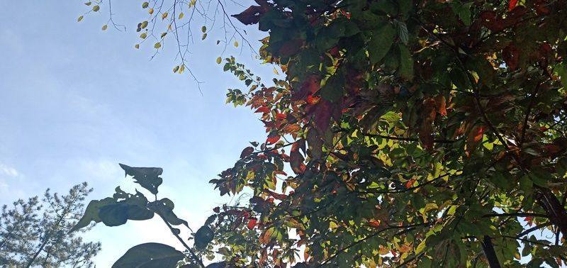 �ϰ��ƨ��α�������