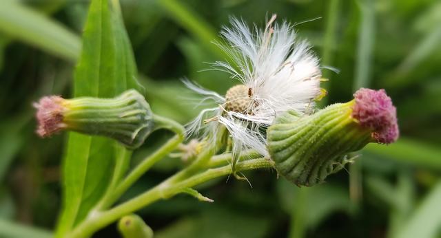 С����ô����ʱ�䳤��