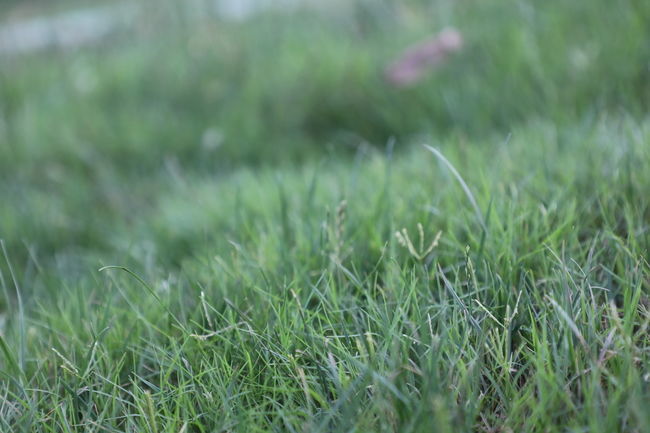 ���籭2022��ΧԤѡ��ֱ��