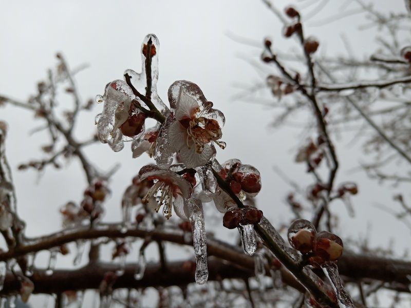 ���Ӻ�����ô��