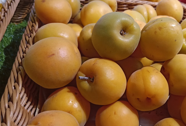 θ������Ⱥʧ��������ڿ���