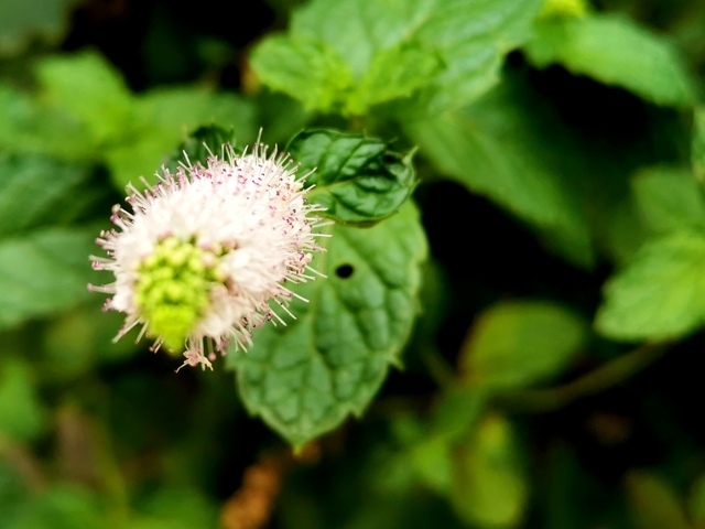 <a href=https://www.shuisutang.com.cn/ target=_blank class=infotextkey>ˮ����</a>