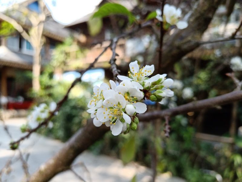 ��θ�������һᵼ�¶��ÿ���