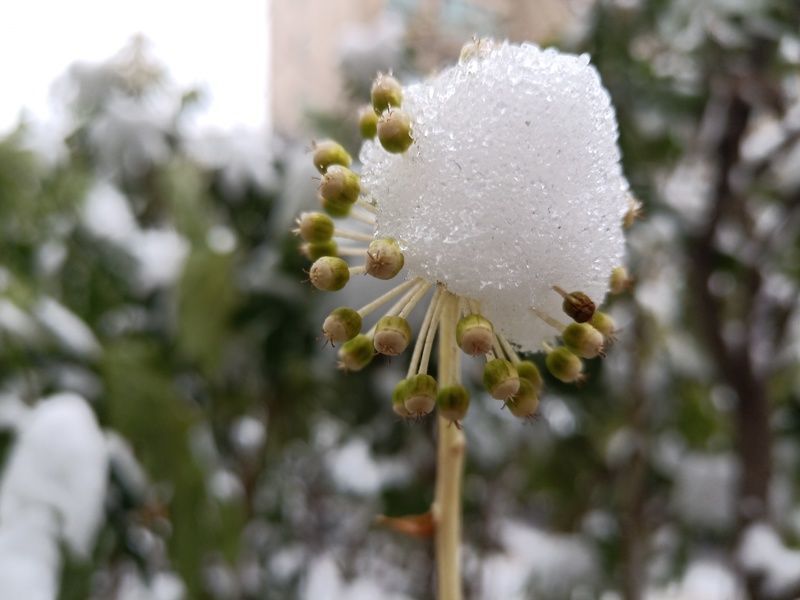 ����θ�׺Ⱥ����θ��