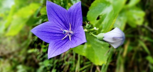 ��λ��������ʺ��������