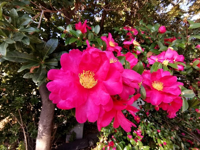 ��Ϻ����ô���ó�