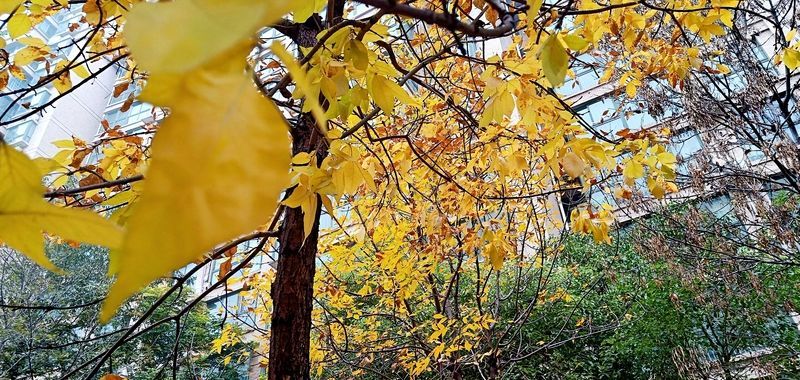 ��������ʳ���s�؄e��