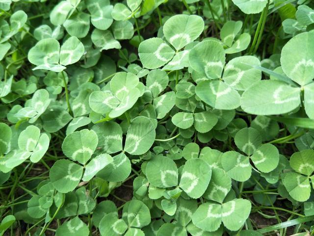 �i����ô���ó���?