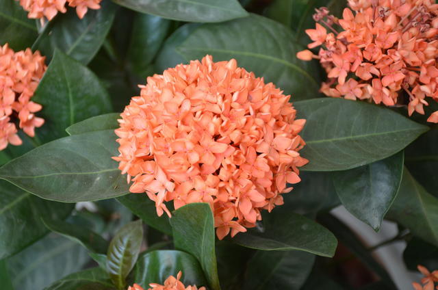 <a href=https://www.shuisutang.com.cn/ target=_blank class=infotextkey>ˮ����</a>