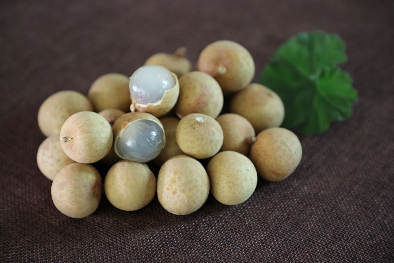 �ܲ�����ʲô����ţ��ó�