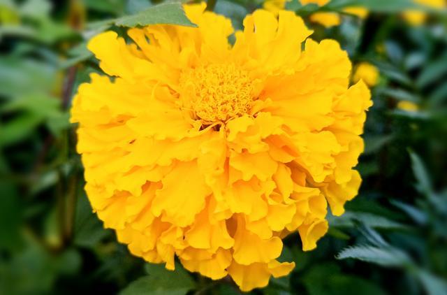 <a href=https://www.shuisutang.com.cn/ target=_blank class=infotextkey>ˮ����</a>